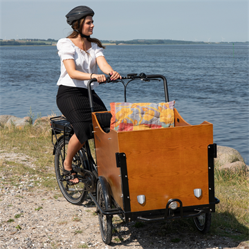 Tour Brun med motor - ladcykel til 4 børn